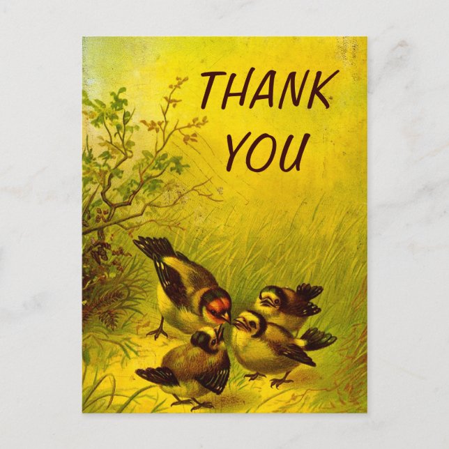Vintage Painted Sparrows Thank You Postcard (Front)