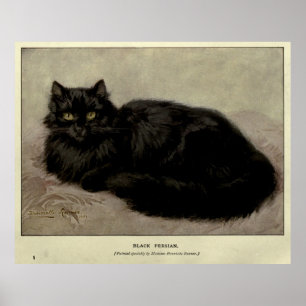 Vintage Painting of a Black Cat (1903) Poster