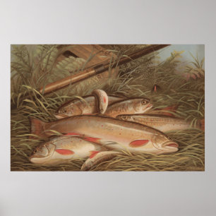 Vintage Painting of Caught Brook Trout (1868) Poster