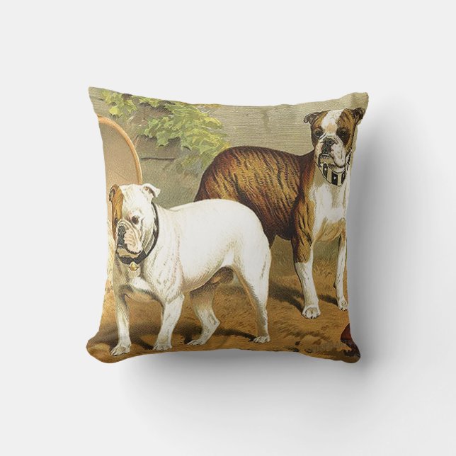 Vintage Painting of English Bulldogs Cushion (Front)