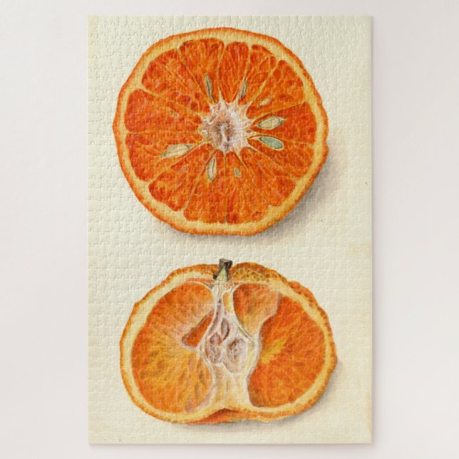 Vintage Painting of Tangerines Jigsaw Puzzle (Vertical)