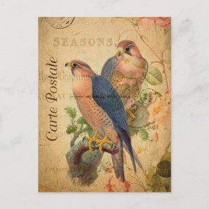 Vintage Pair of Peregrine Falcons Birds French Postcard