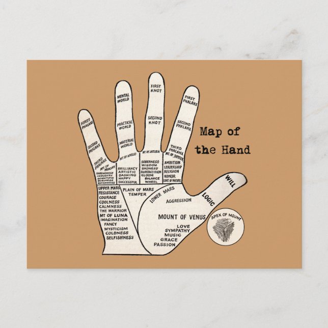 Vintage palm reading palmistry fortune postcard (Front)