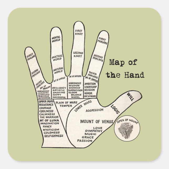 Vintage palm reading palmistry fortune square sticker (Front)