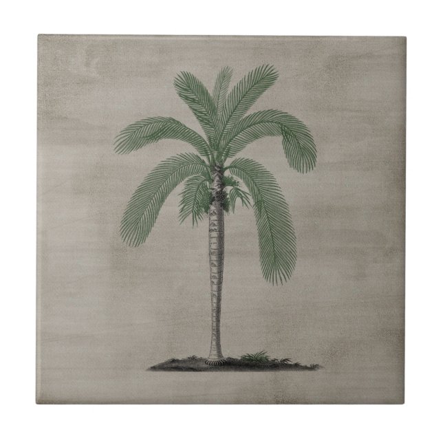 Vintage Palm Tree Ceramic Tile (Front)