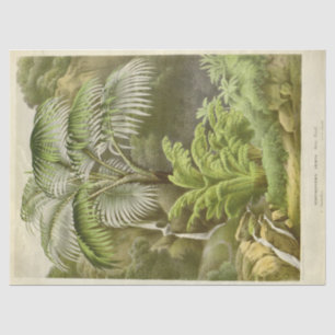 Vintage Palm Tree Ephemera Decoupage French Tissue Paper