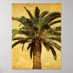 Vintage Palm Tree - Tropical Customised Template Poster