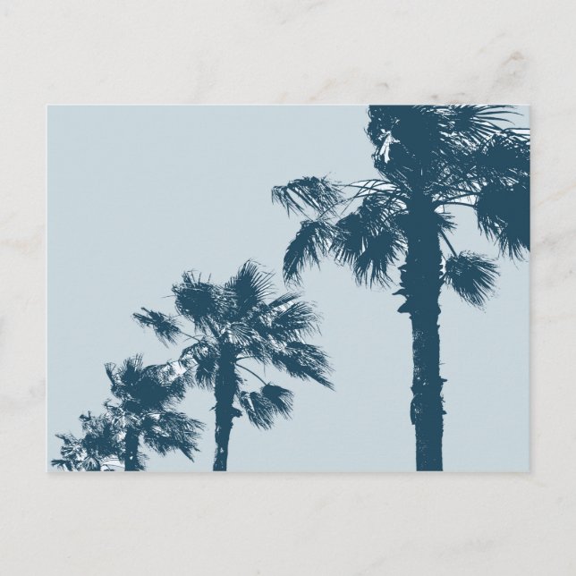 Vintage Palm Trees Postcard (Front)