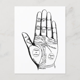 Vintage Palmistry Chart Palm Reading Postcard