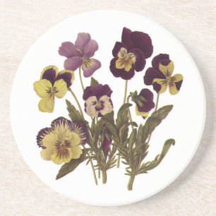 Vintage Pansies in Bloom, Floral Garden Flowers Coaster
