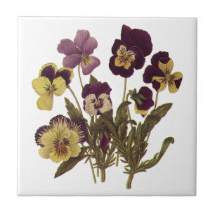 Vintage Pansies in Bloom, Floral Garden Flowers Tile