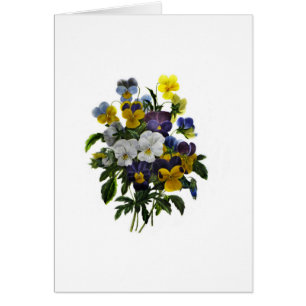 Vintage Pansy Botanical Print