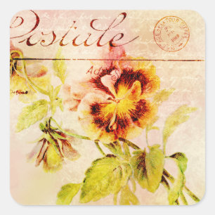 Vintage pansy flower postcard square sticker