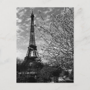 Vintage Paris Eiffel Tower Postcard