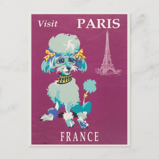Vintage Paris France French Poodle Postcard (Front)