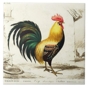 Vintage Paris rooster home decor tile
