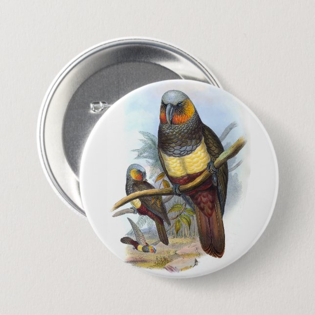Vintage Parrot Bird PE_GC - Round Button (Front & Back)