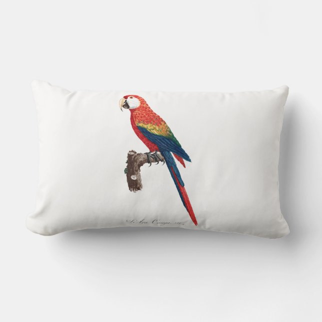 Vintage Parrot - Birds Old Illustration Art Lumbar Cushion (Front)