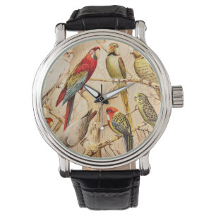 Vintage Parrot Cockatoo Conure Parakeet Cockatiel Watch