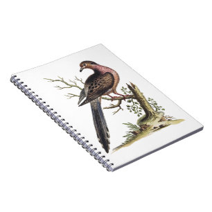 Vintage Passenger Pigeon Illustration Notebook