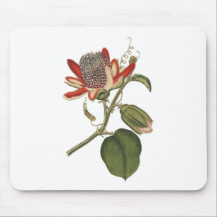 Vintage Passion Flower Mouse Pad