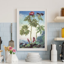 Vintage Pastel Watercolor Peony Illustration