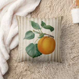 Vintage Peach Botanical Cushion