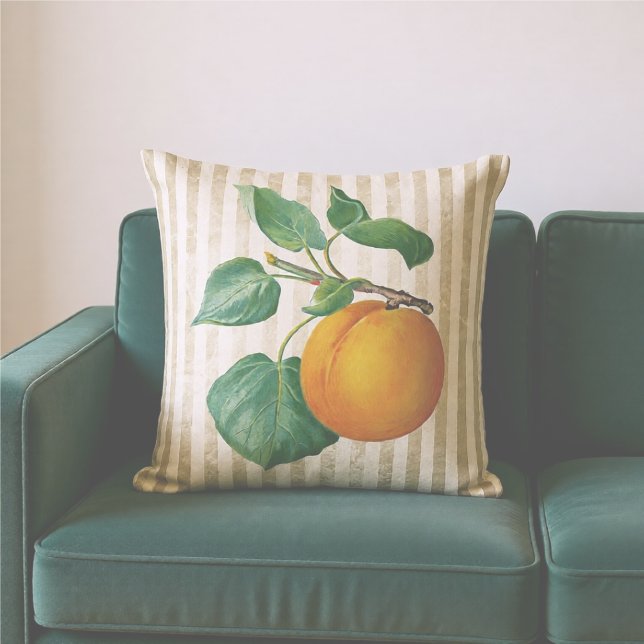 Vintage Peach Botanical Cushion (Creator Uploaded)