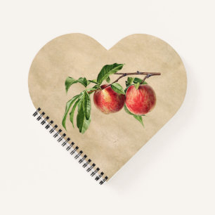 Vintage Peaches Illustration Notebook