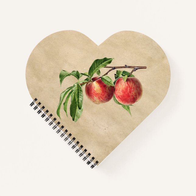 Vintage Peaches Illustration Notebook (Front)