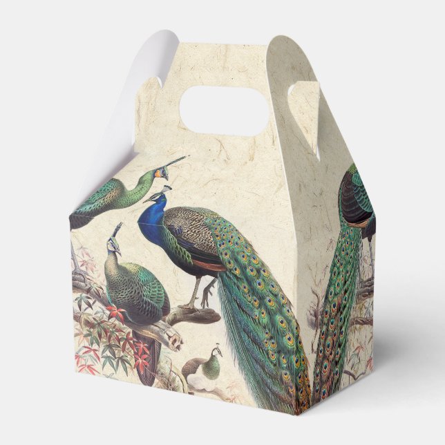 Vintage Peacock Birds Wildlife Animals Favour Box (Back Side)