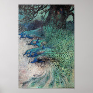 Vintage Peacock Book Illustration Poster