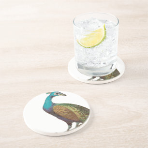 Vintage Peacock Coasters