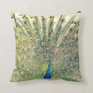 Vintage Peacock Cushion