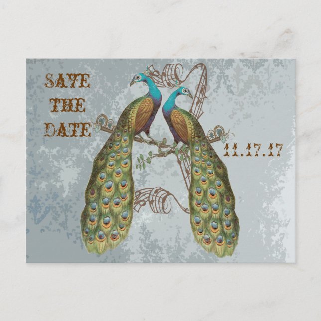 Vintage Peacock Damask Save the Date Announcement Postcard (Front)