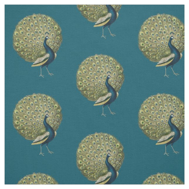 Vintage Peacock Fabric (Swatch)
