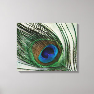 Vintage Peacock Feather Canvas Print