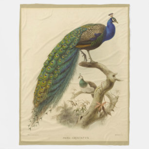 Vintage Peacock Fleece Blanket