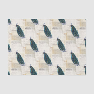 Vintage Peacock French Ephemera Tissue Paper