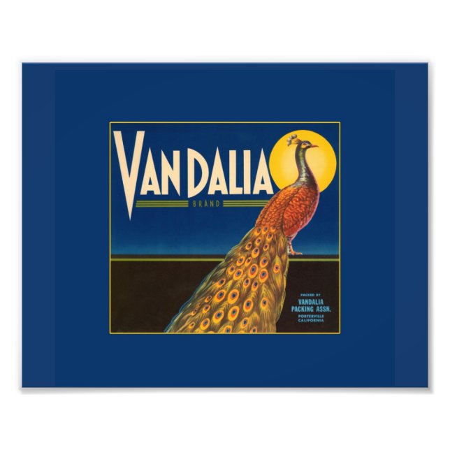 Vintage Peacock Fruit Crate Label Photo Print (Front)