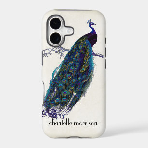 Vintage Peacock Full Feathers on Tattered Lace