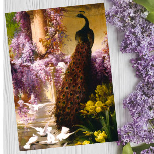 Vintage Peacock Garden Artwork Romantic Wisteria Card