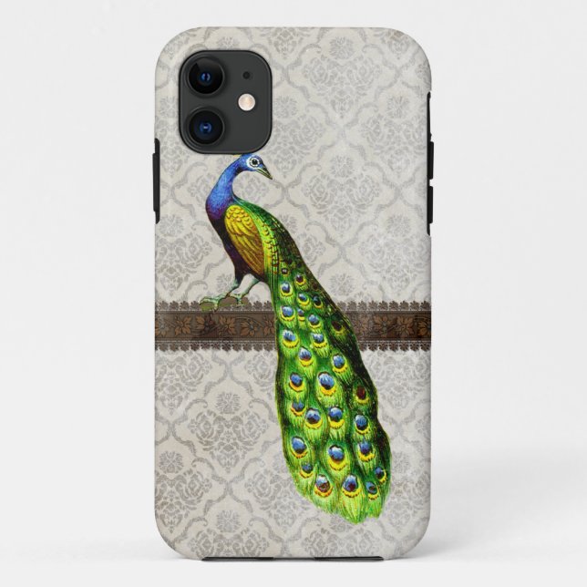 Vintage Peacock Illustration iPhone 5 Case (Back)