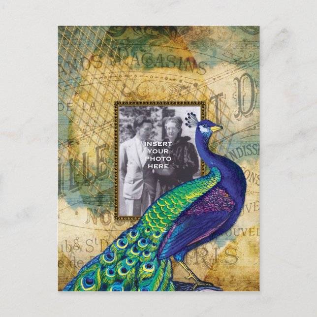 Vintage Peacock in Paris Frame Postcard (Front)