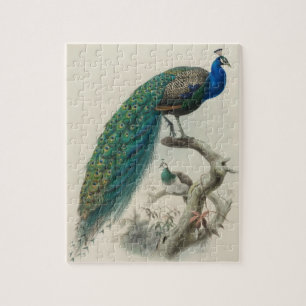 Vintage Peacock Jigsaw Puzzle