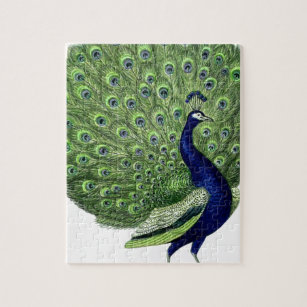 Vintage Peacock Jigsaw Puzzle