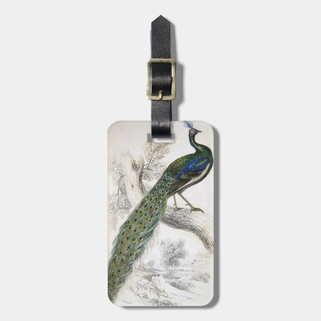 Vintage Peacock Luggage Tag (Front Vertical)