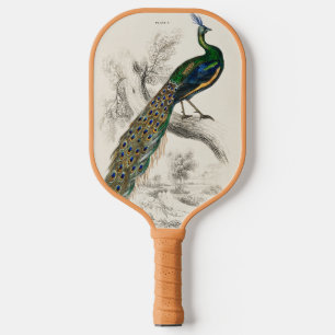 Vintage Peacock Natural History Print Pickleball Paddle