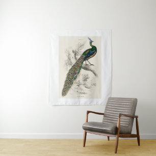 Vintage Peacock Natural History Print Tapestry