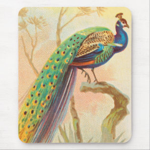 Vintage Peacock on a branch painting Mouse Pad